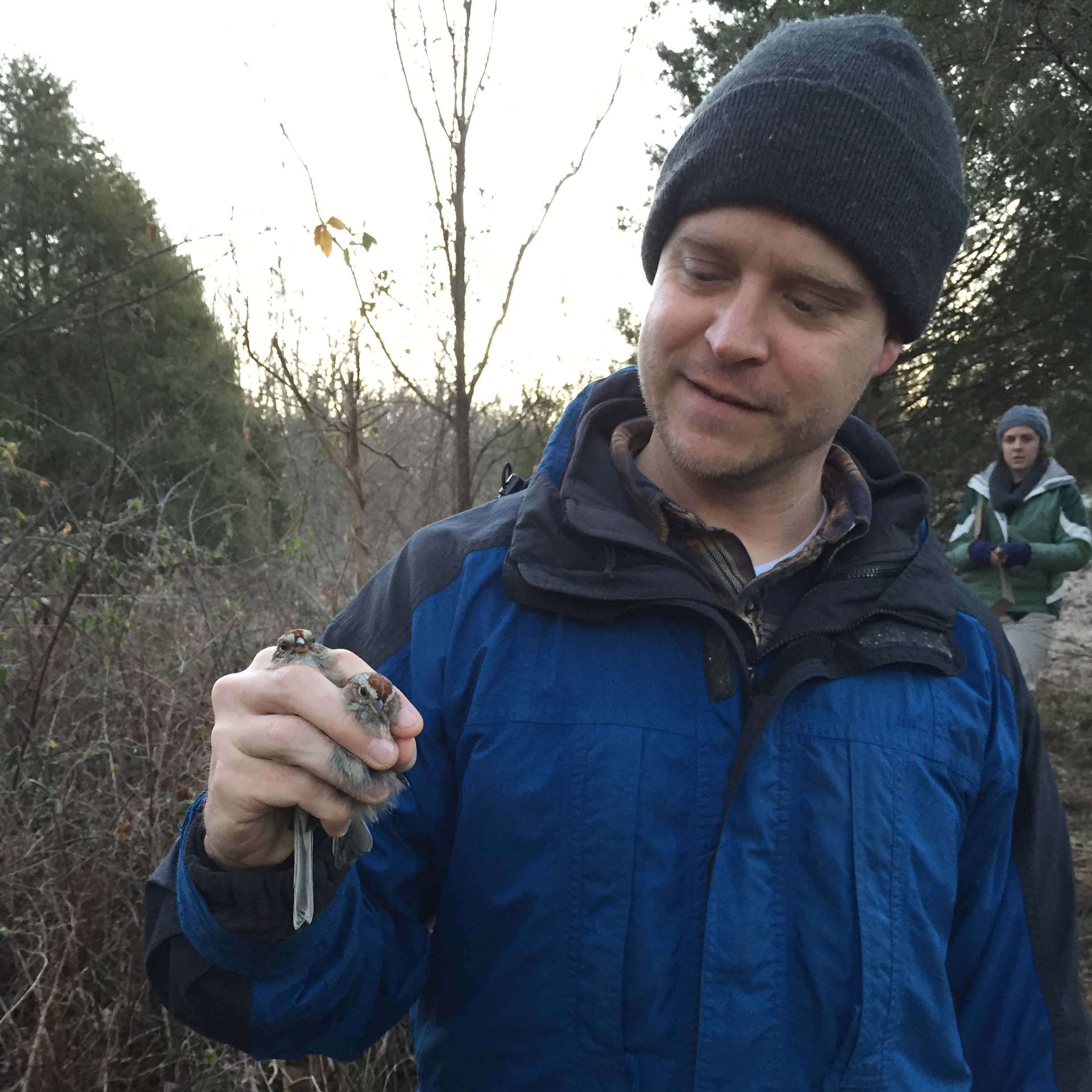 Dr. Adam Fudickar capturing birds at Kent Farm Banding Station 